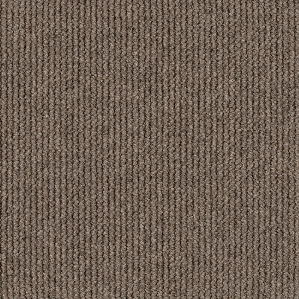 Summit textured tufted loop carpet, a confident mid-tone with grounded architectural character and rich wool surface, from the Kawana Flooring EC Carpets Dawson Falls collection