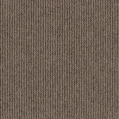 Summit textured tufted loop carpet, a confident mid-tone with grounded architectural character and rich wool surface, from the Kawana Flooring EC Carpets Dawson Falls collection