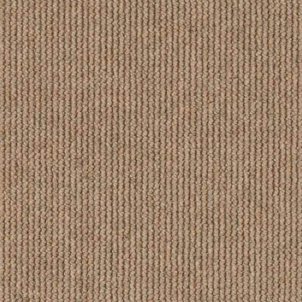 Sunlit textured tufted loop carpet, a warm golden beige with sun-washed luminosity and richly heathered wool surface, from the Kawana Flooring EC Carpets Dawson Falls collection