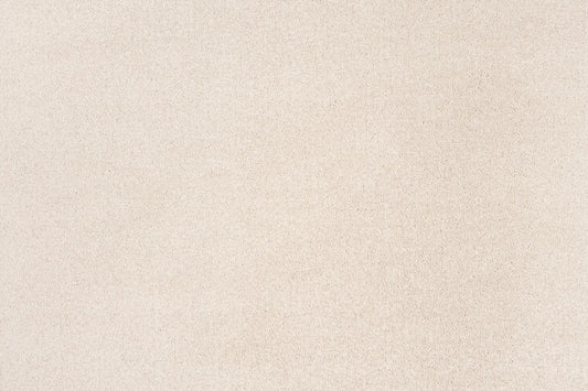 Delmara Champagne solution dyed nylon carpet
