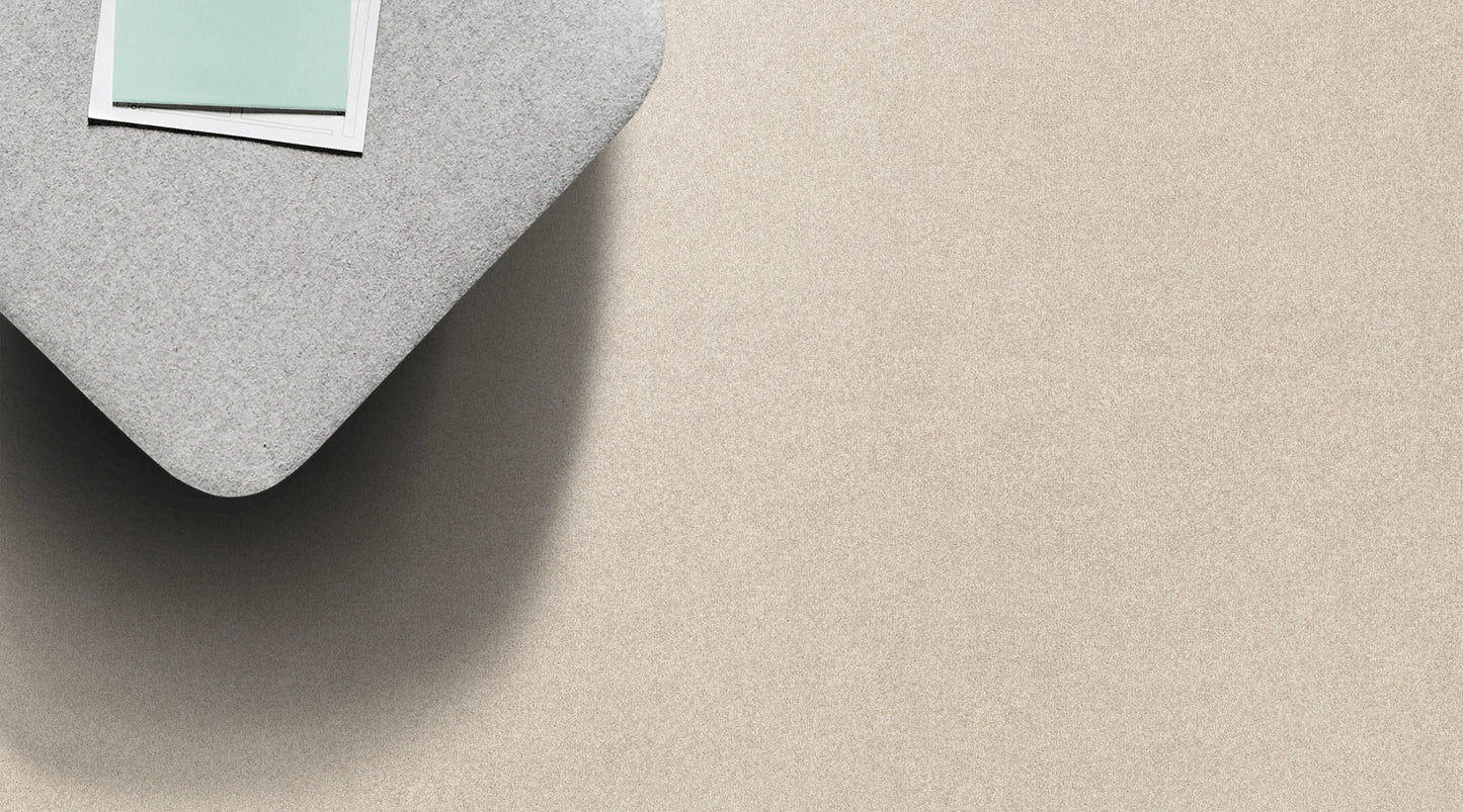 Fiesta Chalk solution dyed nylon carpet