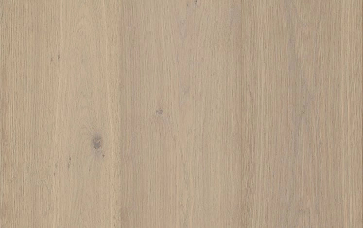 Noble Collection Cambridge Oak timber flooring