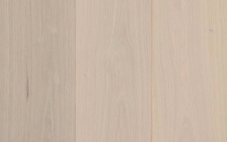 Noble Collection Vienna Oak timber flooring