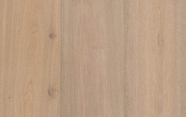 Insignia Oak Marigold timber flooring