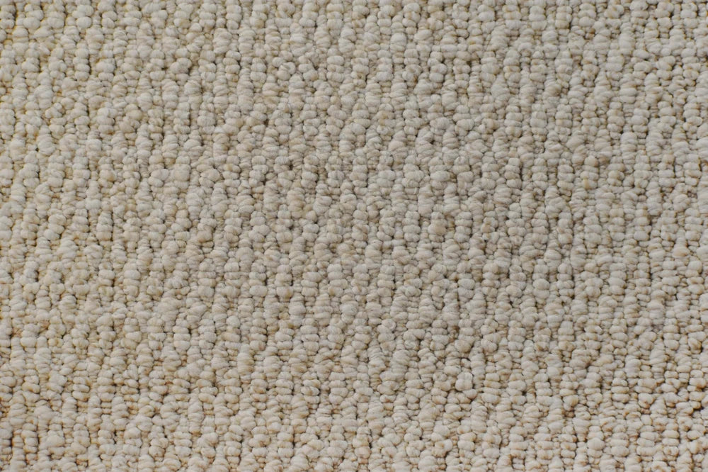 Antiquity textured loop carpet, a soft warm neutral with timeworn classical character and richly textured surface, from the Kawana Flooring Victoria Carpets Lucca collection