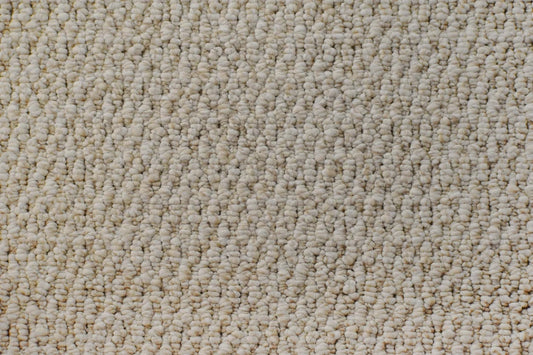 Antiquity textured loop carpet, a soft warm neutral with timeworn classical character and richly textured surface, from the Kawana Flooring Victoria Carpets Lucca collection