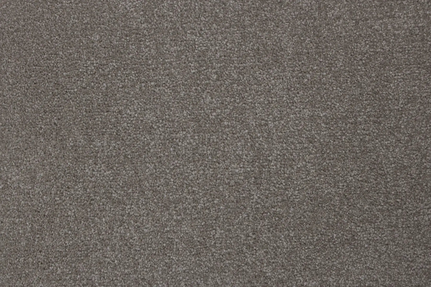 Balakavo Mink carpet, a solution-dyed nylon soft-twist pile in warm taupe-brown, from the Kawana Flooring Signature Floors Mink collection