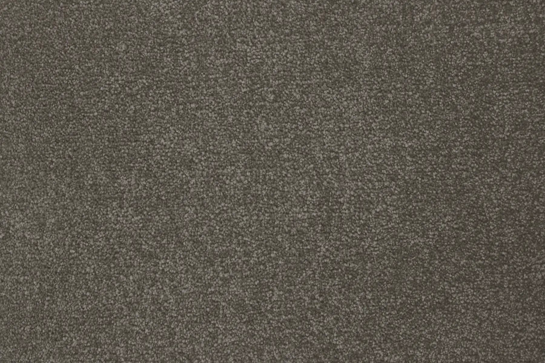Kazan Mink carpet, a solution-dyed nylon soft-twist pile in deep chocolate, from the Kawana Flooring Signature Floors Mink collection