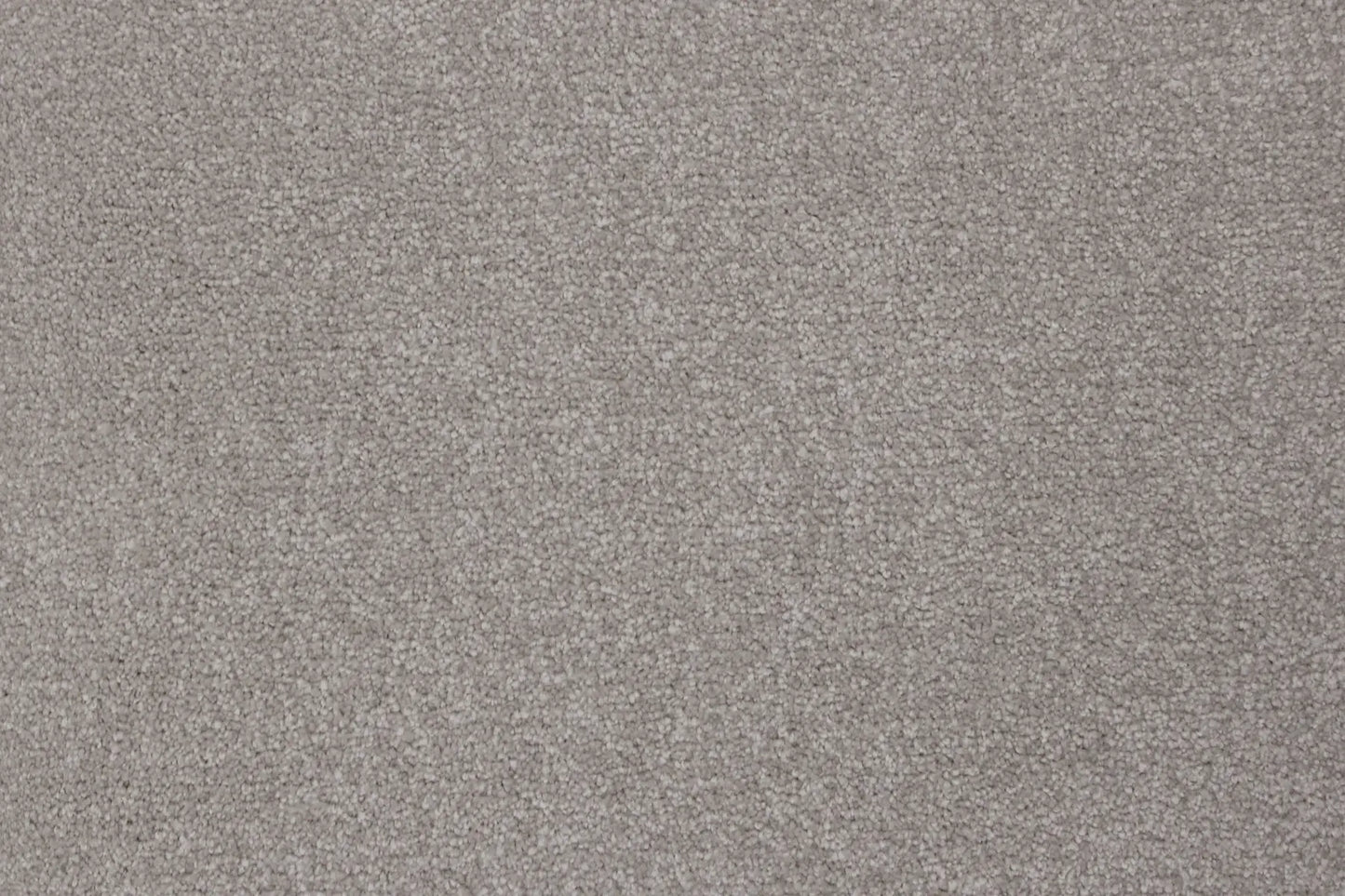 Liski Mink carpet, a solution-dyed nylon soft-twist pile in mid-warm grey, from the Kawana Flooring Signature Floors Mink collection