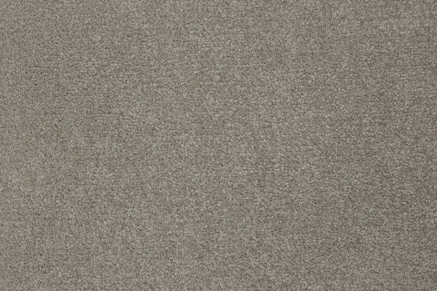 Moscow Mink carpet, a solution-dyed nylon soft-twist pile in deep warm charcoal, from the Kawana Flooring Signature Floors Mink collection
