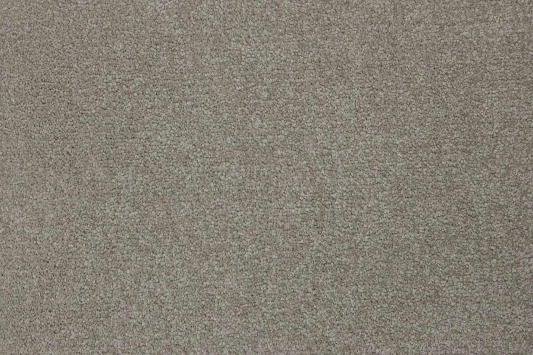 Moscow Mink carpet, a solution-dyed nylon soft-twist pile in deep warm charcoal, from the Kawana Flooring Signature Floors Mink collection