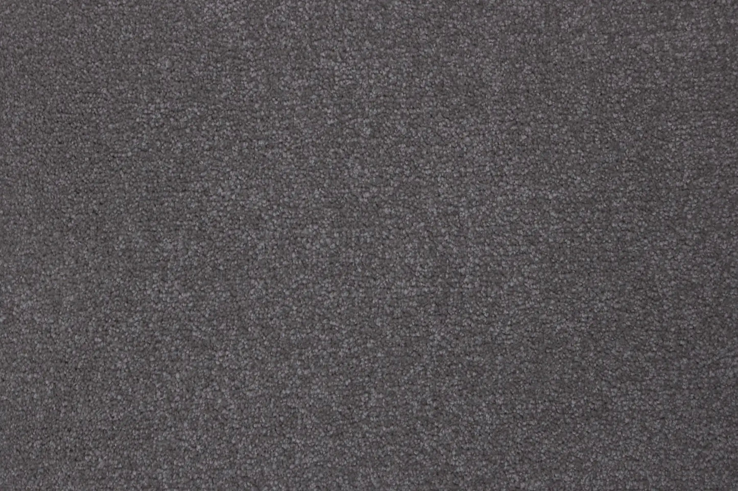 Saransk Mink carpet, a solution-dyed nylon soft-twist pile in deep charcoal, from the Kawana Flooring Signature Floors Mink collection