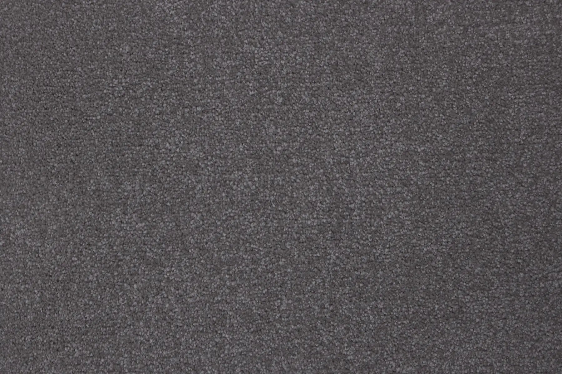 Saransk Mink carpet, a solution-dyed nylon soft-twist pile in deep charcoal, from the Kawana Flooring Signature Floors Mink collection