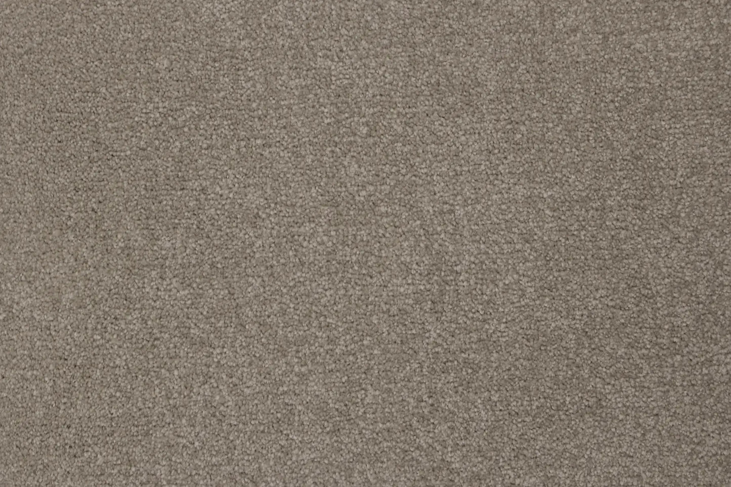 Serov Mink carpet, a solution-dyed nylon soft-twist pile in warm soft grey, from the Kawana Flooring Signature Floors Mink collection