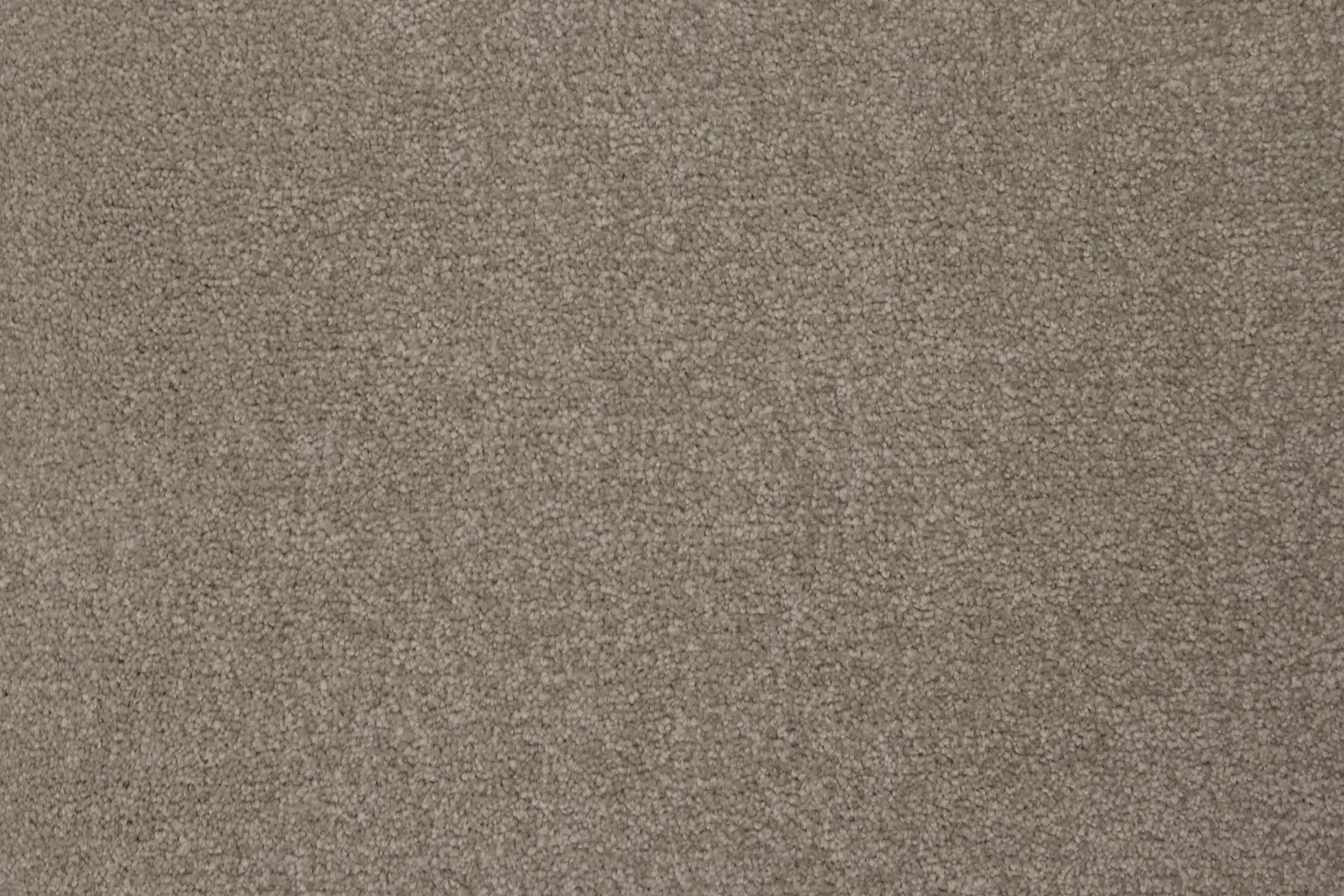 Serov Mink carpet, a solution-dyed nylon soft-twist pile in warm soft grey, from the Kawana Flooring Signature Floors Mink collection