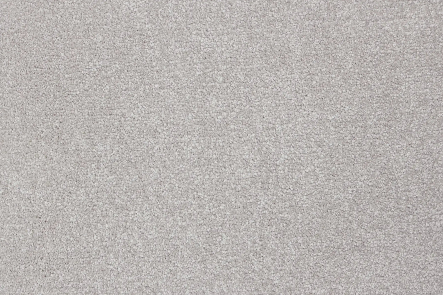 Tamov Mink carpet, a solution-dyed nylon soft-twist pile in warm light grey, from the Kawana Flooring Signature Floors Mink collection
