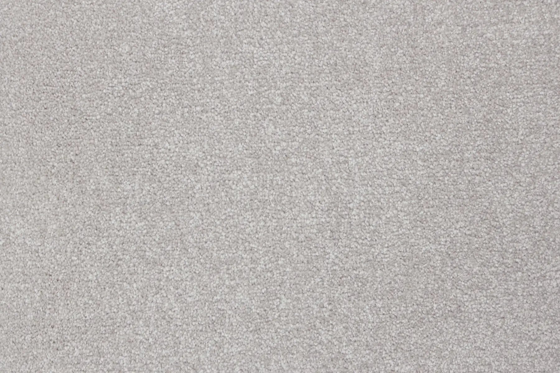 Tamov Mink carpet, a solution-dyed nylon soft-twist pile in warm light grey, from the Kawana Flooring Signature Floors Mink collection