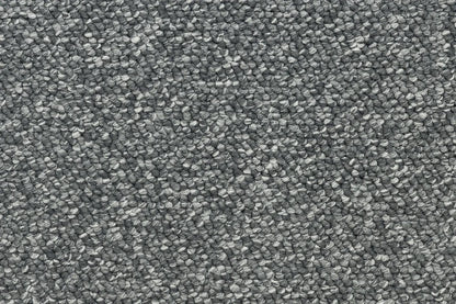 Tungsten level loop carpet, a confident deeper grey with strong architectural character, from the Kawana Flooring Beaulieu Pizazz collection
