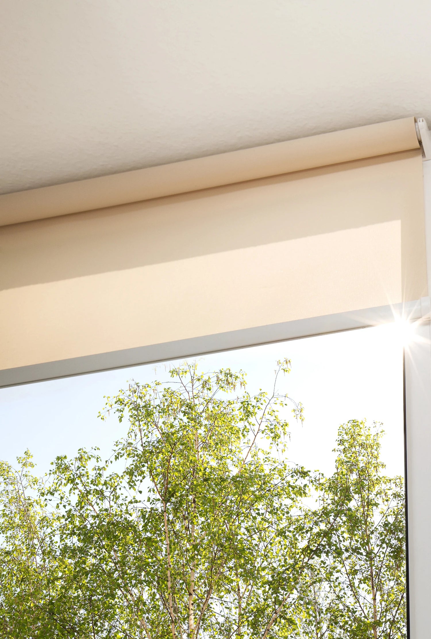 blind installer sunshine coast