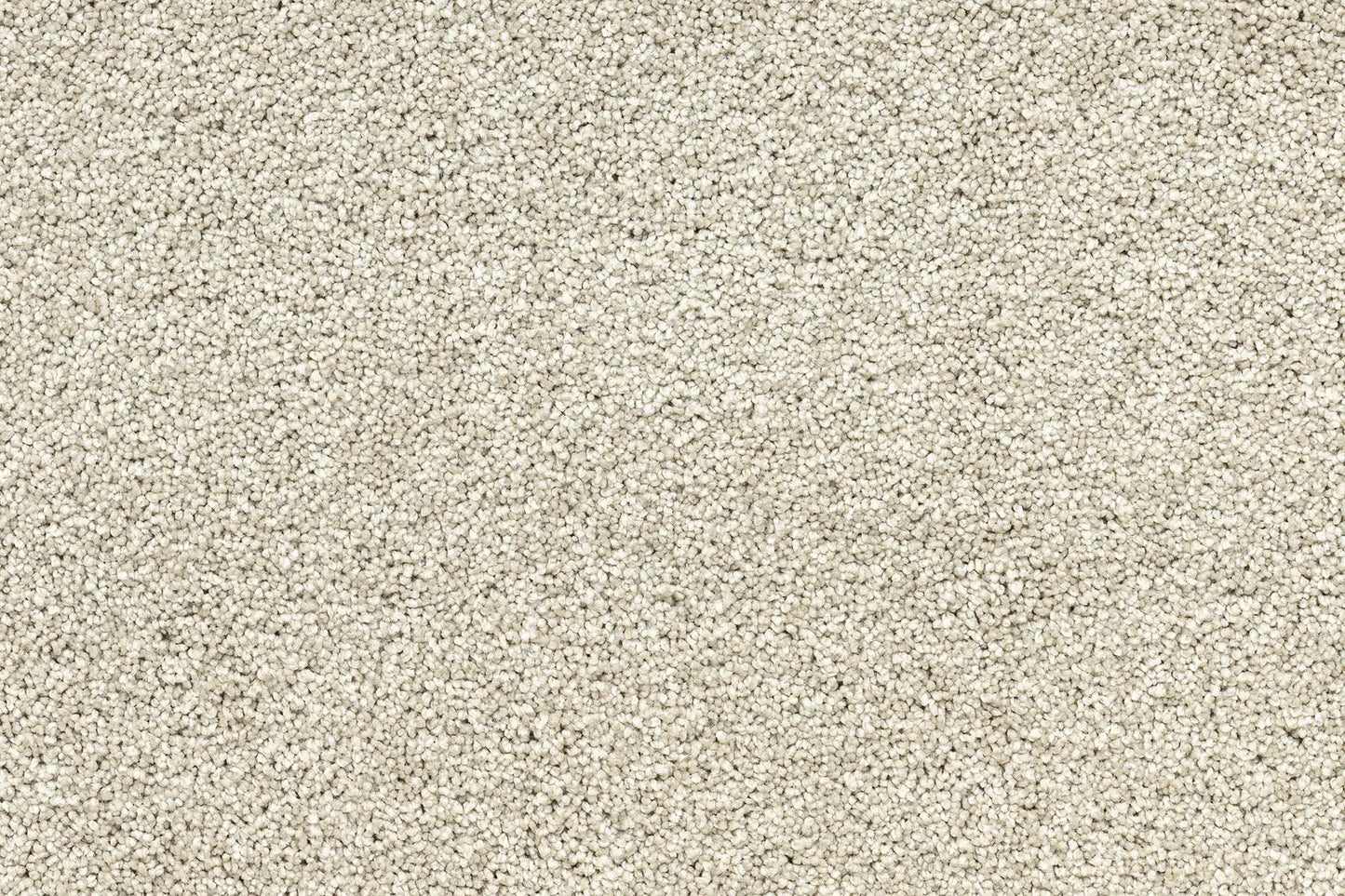 Serenity Shores Antique White solution dyed nylon carpet