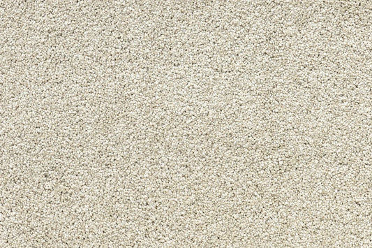 Serenity Shores Antique White solution dyed nylon carpet