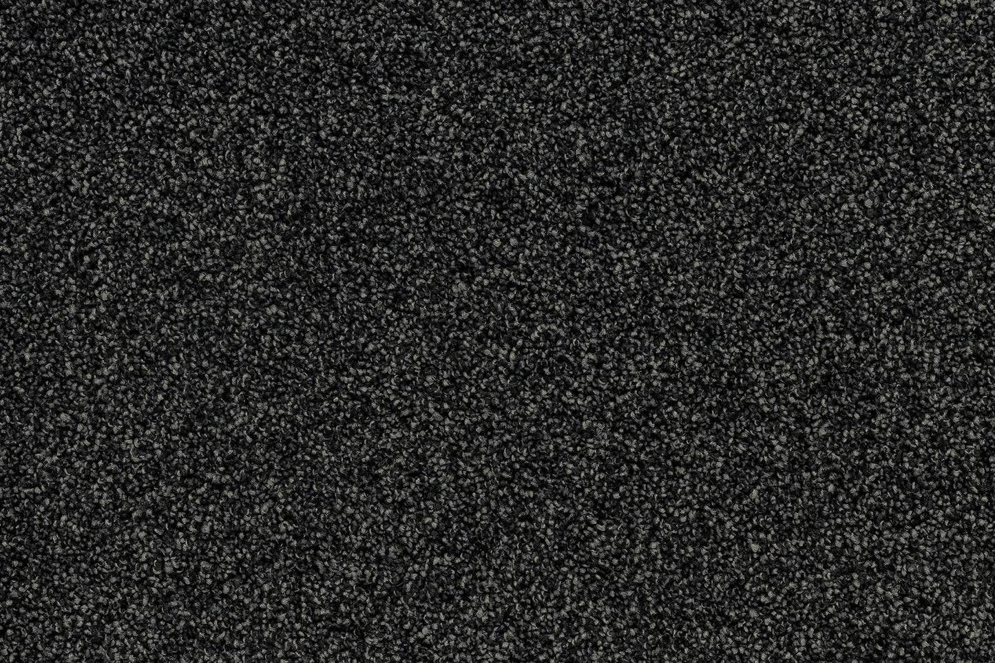 Serenity Shores Anvil solution dyed nylon carpet