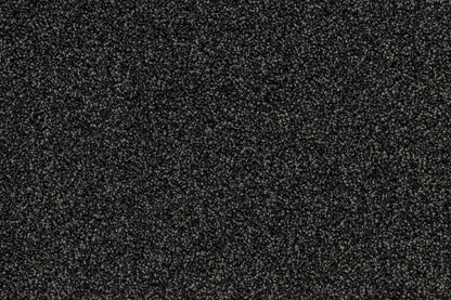 Serenity Shores Anvil solution dyed nylon carpet
