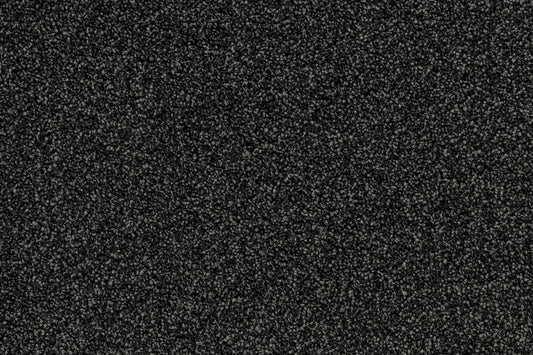 Serenity Shores Anvil solution dyed nylon carpet