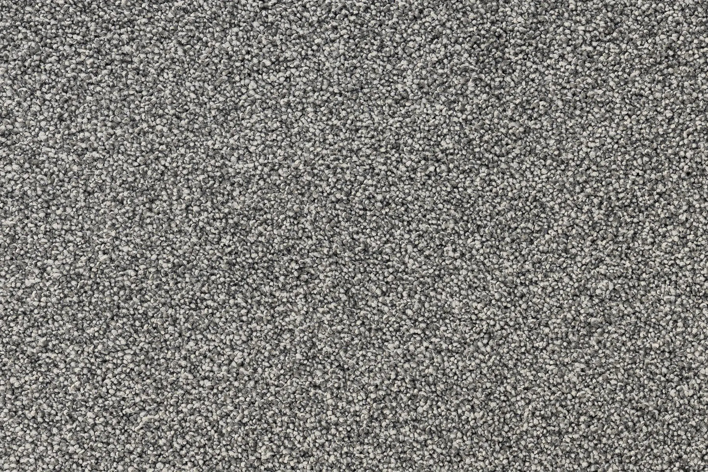 Serenity Shores Ashen Grey solution dyed nylon carpet