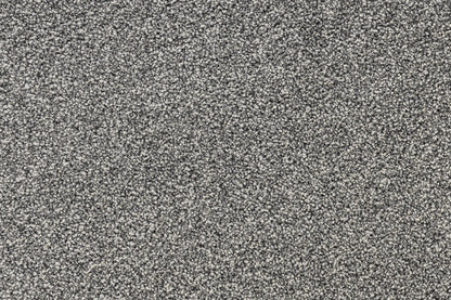 Serenity Shores Ashen Grey solution dyed nylon carpet