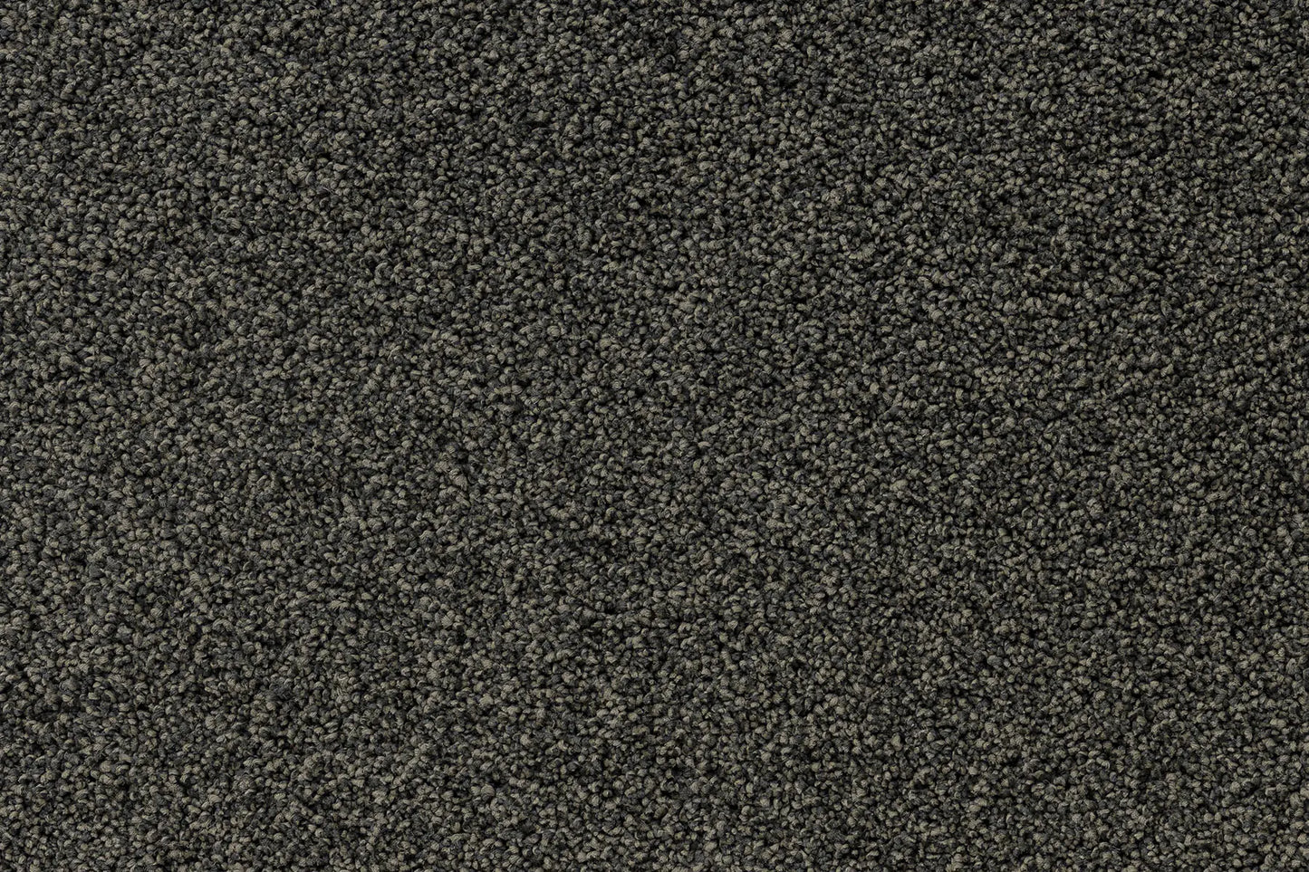 Serenity Shores Cinder solution dyed nylon carpet