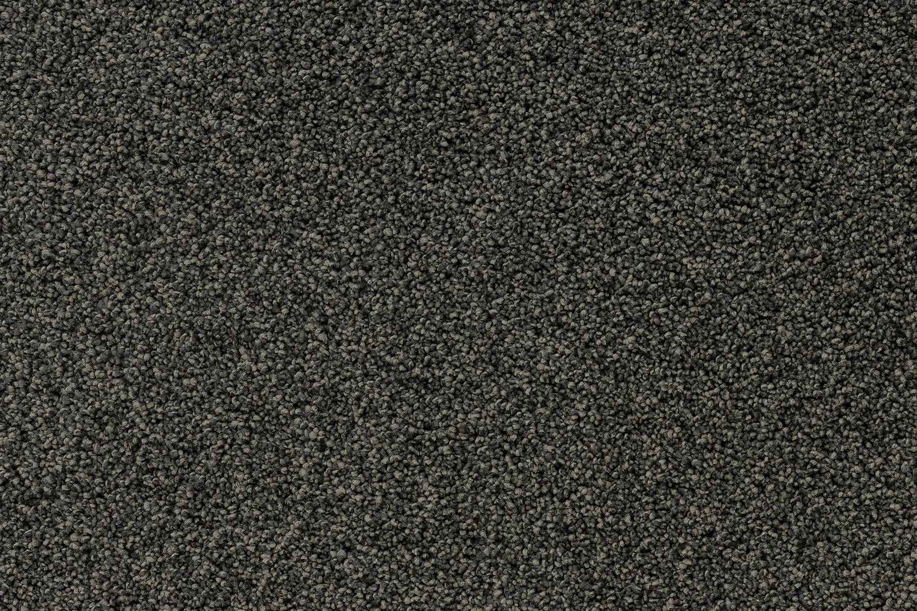 Serenity Shores Cinder solution dyed nylon carpet