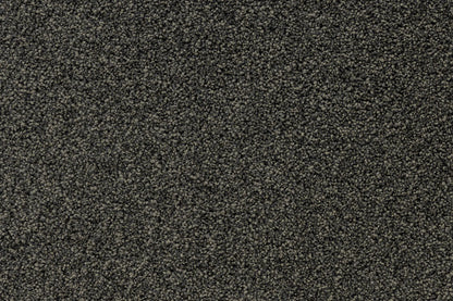 Serenity Shores Cinder solution dyed nylon carpet