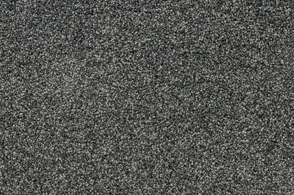 Serenity Shores Gravel solution dyed nylon carpet