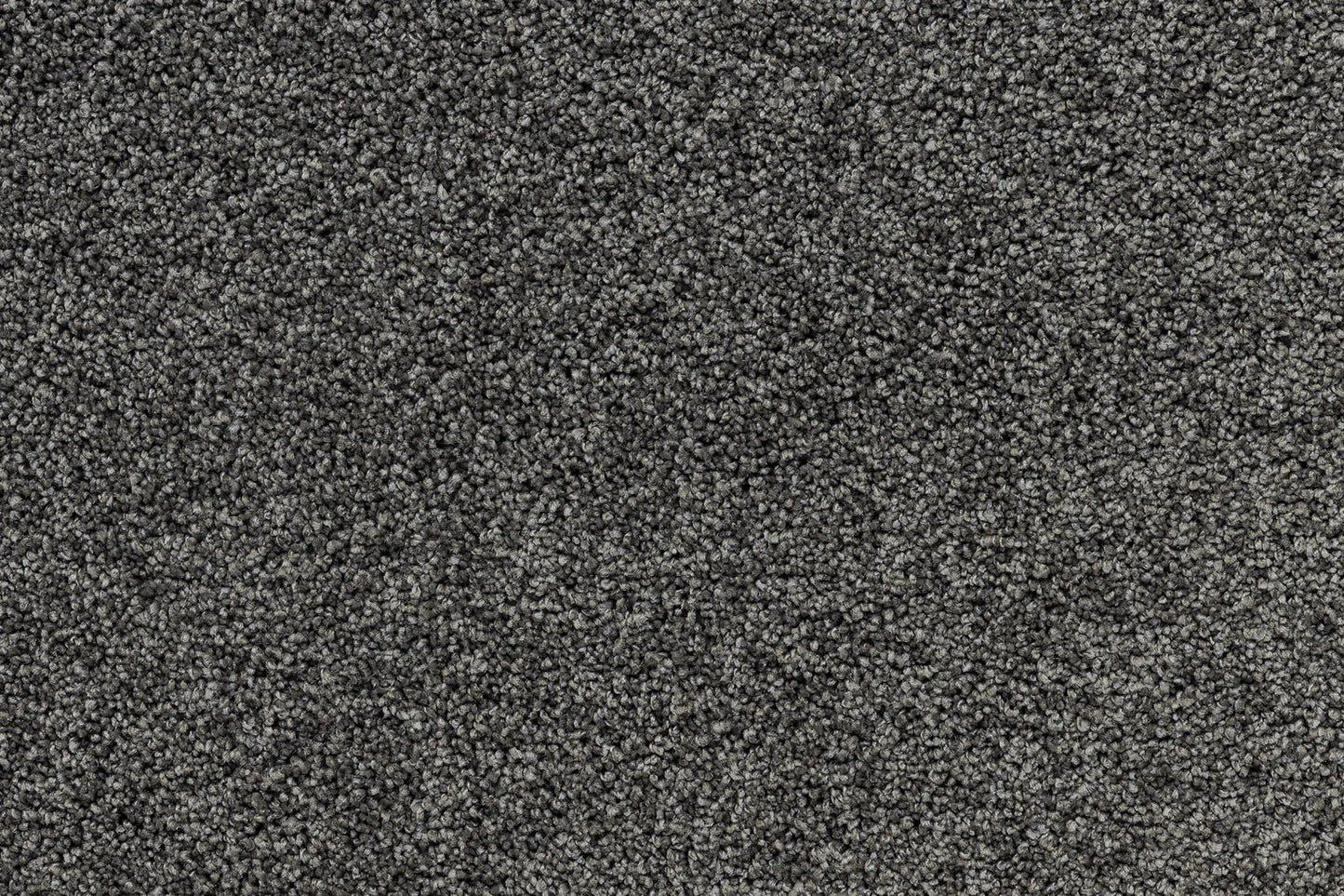 Serenity Shores Gunsmoke solution dyed nylon carpet