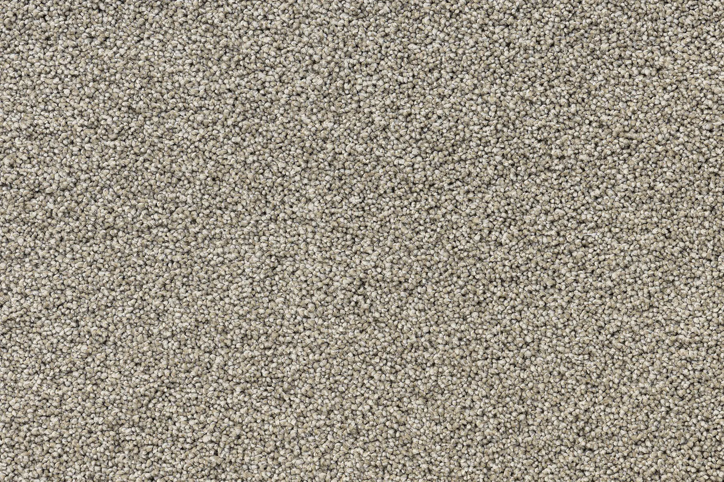 Serenity Shores Mushroom solution dyed nylon carpet
