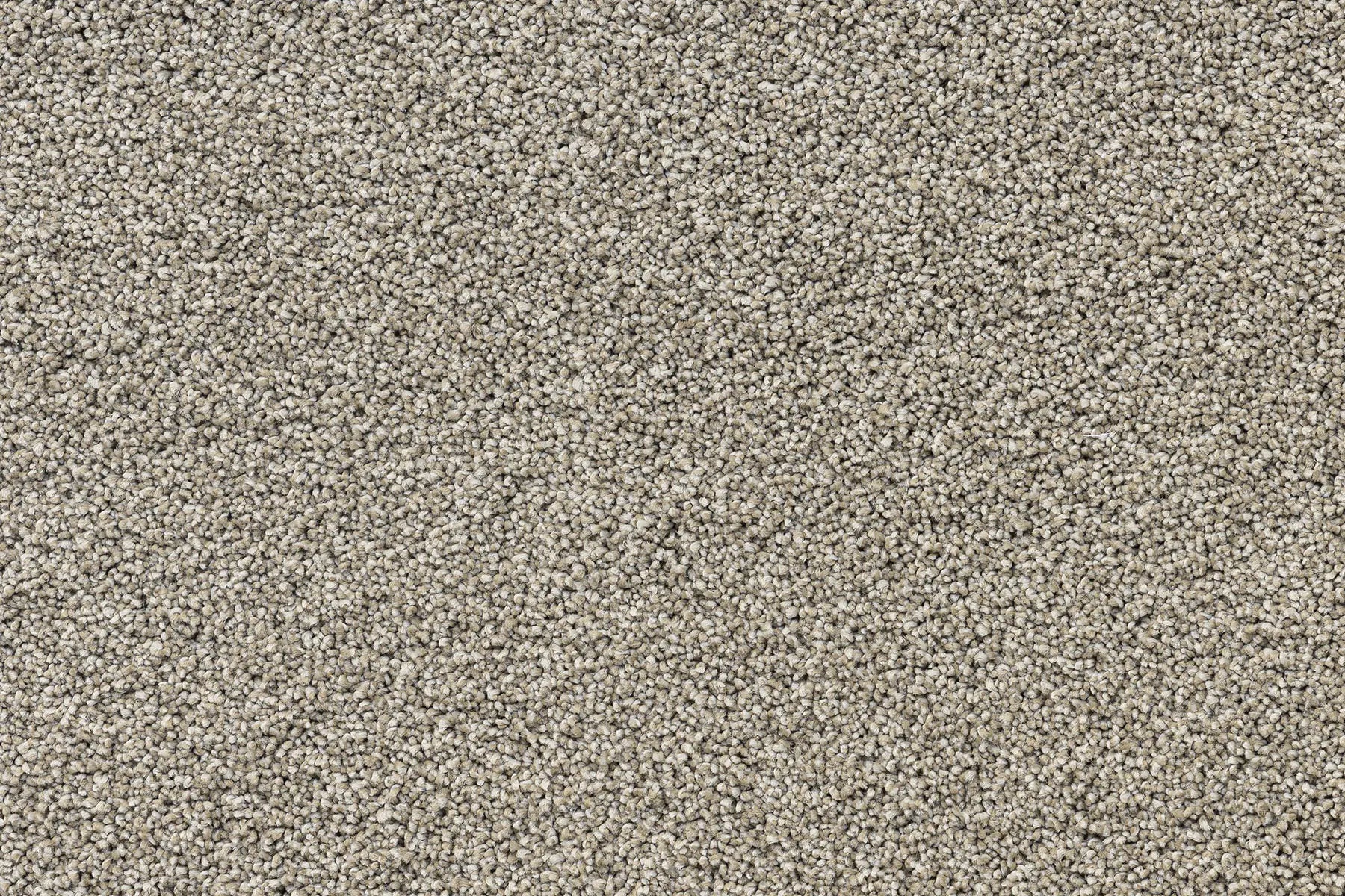 Serenity Shores Mushroom solution dyed nylon carpet