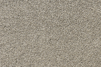 Serenity Shores Mushroom solution dyed nylon carpet