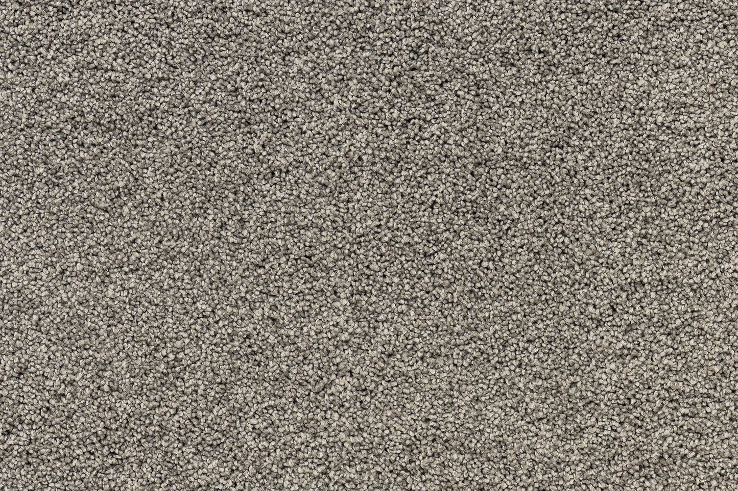 Serenity Shores Raw Umber solution dyed nylon carpet