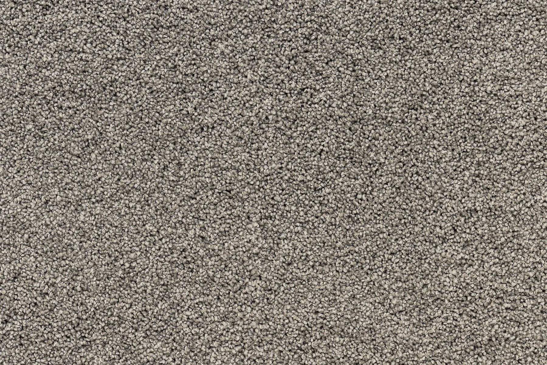 Serenity Shores Raw Umber solution dyed nylon carpet