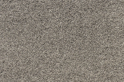 Serenity Shores Raw Umber solution dyed nylon carpet