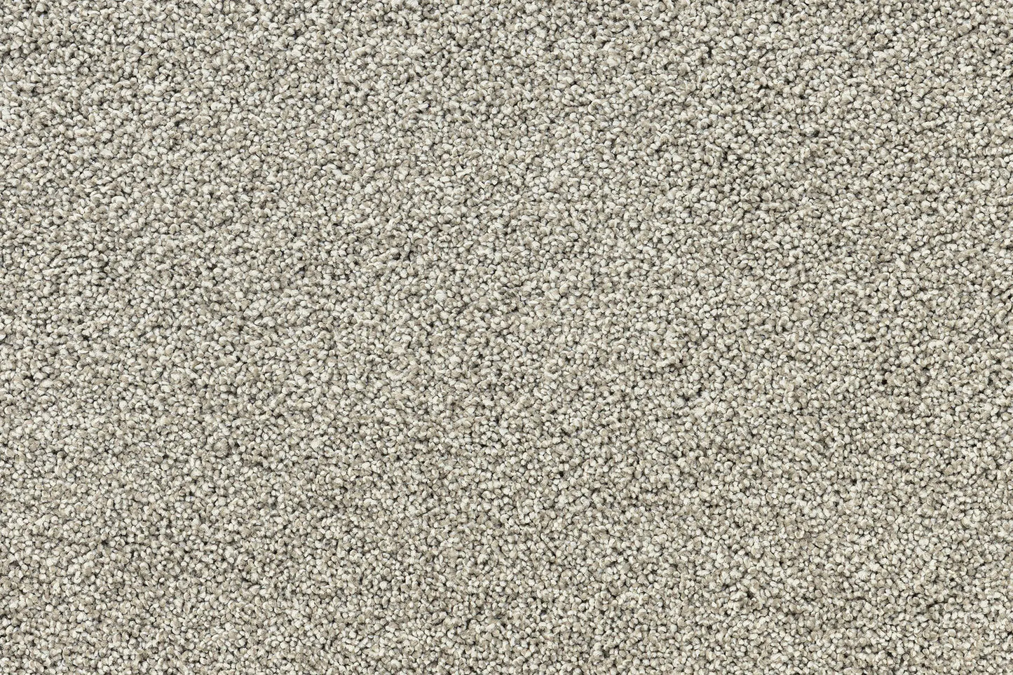 Serenity Shores Shoreliner solution dyed nylon carpet