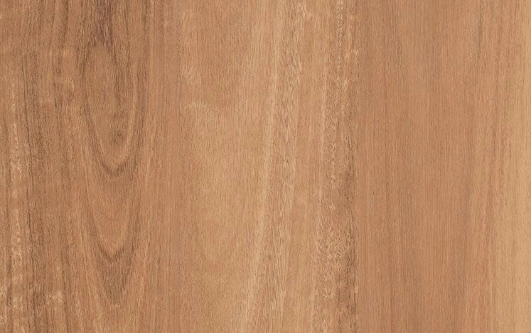 Tahoma 2.5mm Avoca Spotted Gum vinyl plank flooring