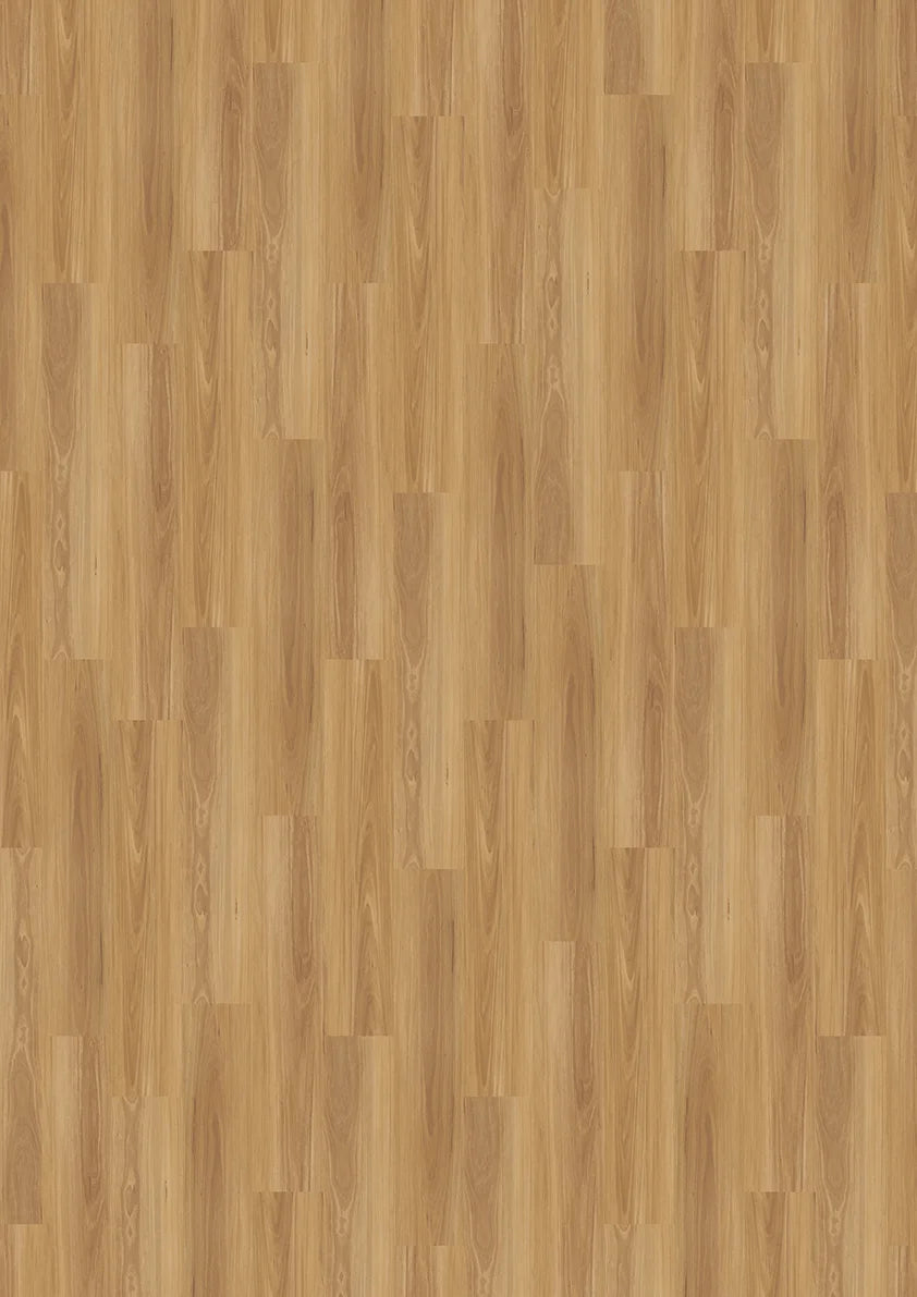 Timberland 2.5 Coastal Blackbutt vinyl plank flooring