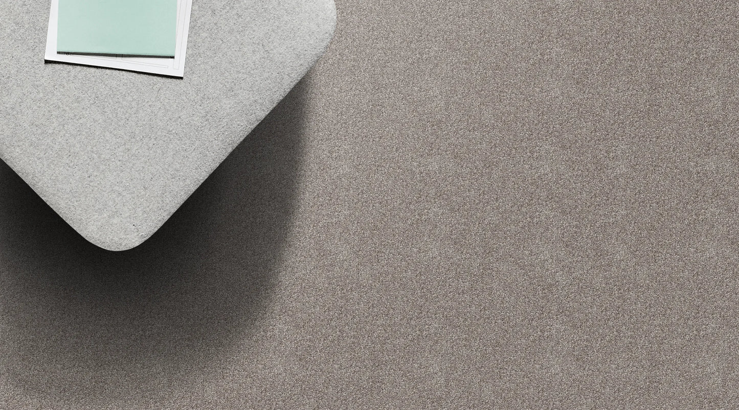 Timeless Barley solution dyed nylon carpet