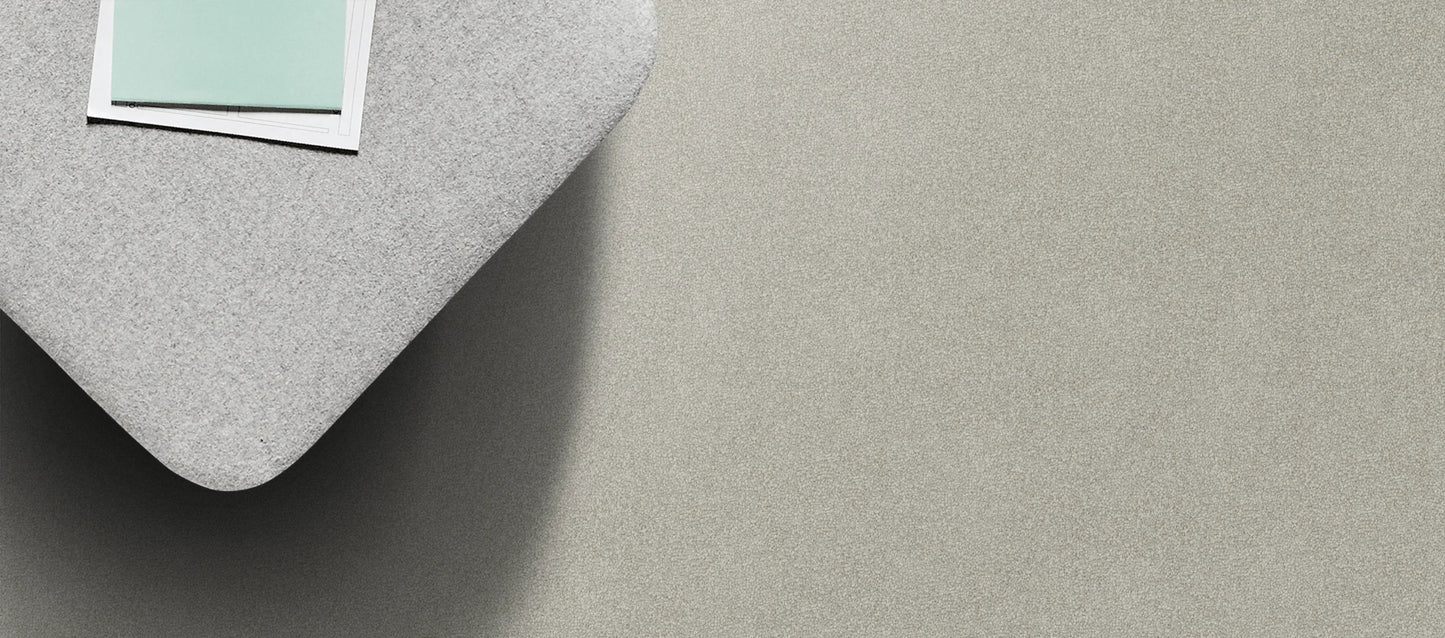Velvet Appeal Frosty Touch solution dyed nylon carpet