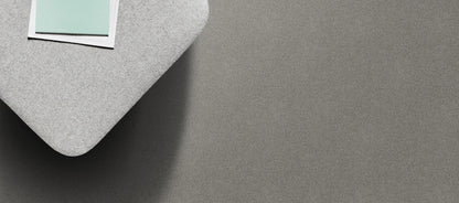 Velvet Appeal Pond Pebble solution dyed nylon carpet