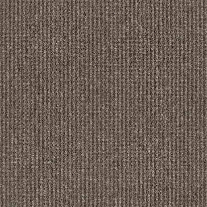 Avenue Colour: Ashbourne carpet Sunshine Coast