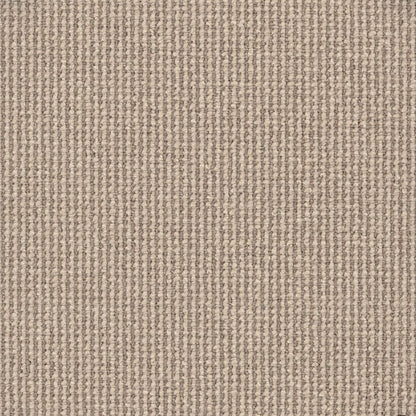 Avenue Colour: Ashbourne carpet Sunshine Coast
