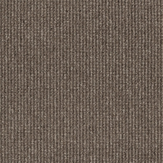 Avenue Colour: Ashbourne carpet Sunshine Coast